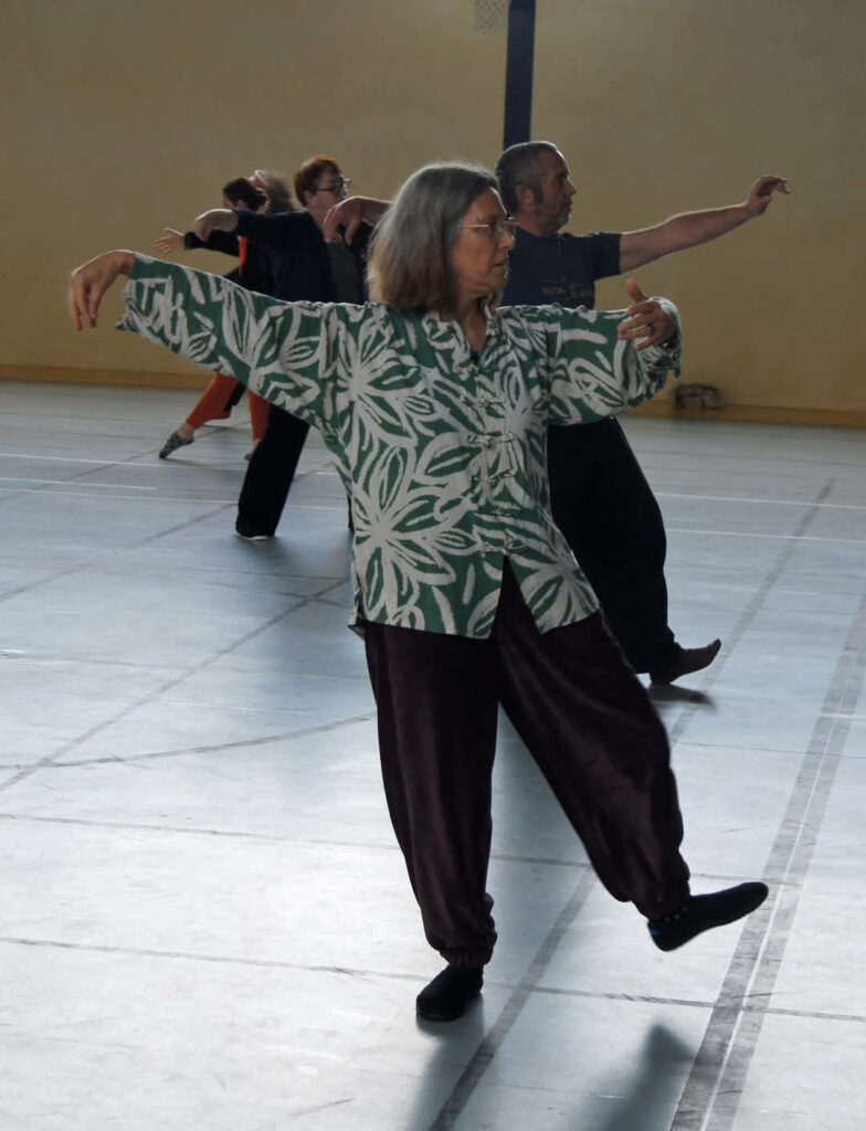 mouvement tai chi chuan de la forme